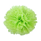 photo-2975171